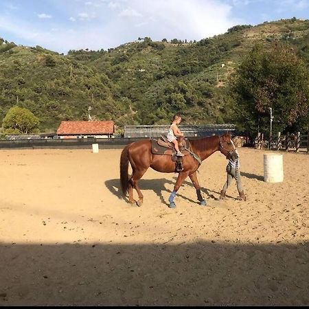 La Stalla, Casa Rustica Nel Ranch Di Cavalli Camporosso  Exterior foto