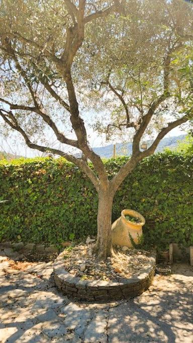 La Stalla, Casa Rustica Nel Ranch Di Cavalli Camporosso  Exterior foto