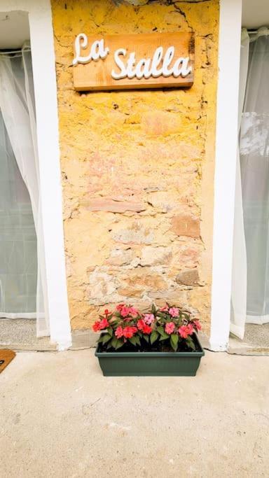 La Stalla, Casa Rustica Nel Ranch Di Cavalli Camporosso  Exterior foto