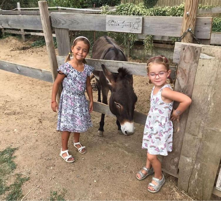 La Stalla, Casa Rustica Nel Ranch Di Cavalli Camporosso  Exterior foto